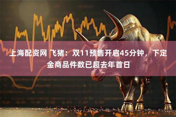 上海配资网 飞猪：双11预售开启45分钟，下定金商品件数已超去年首日